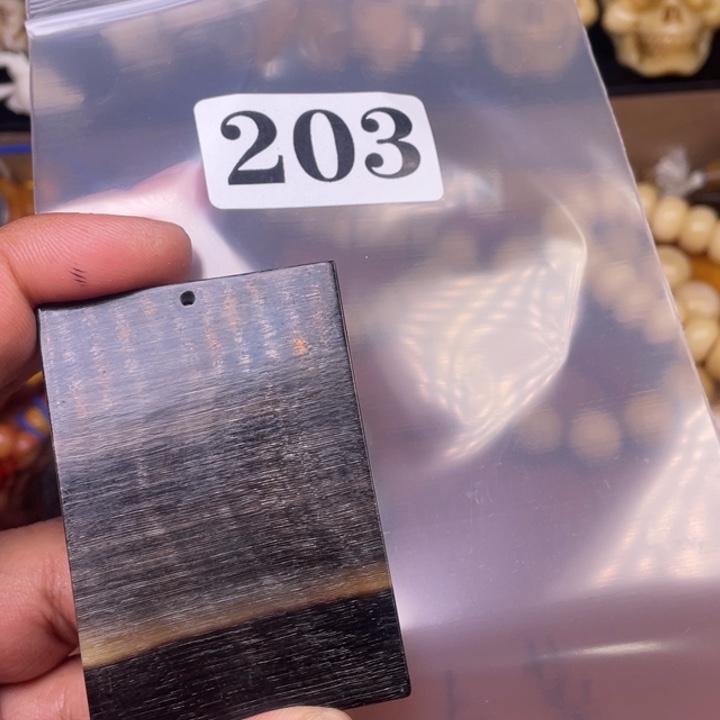 驼骨其他大**舟人工养殖