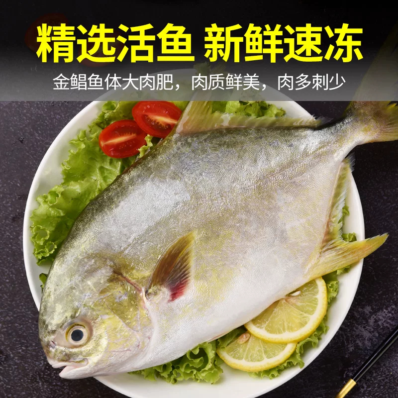 【顺丰冷链】新鲜深海金鲳鱼 速冻海鱼 刺少肉多