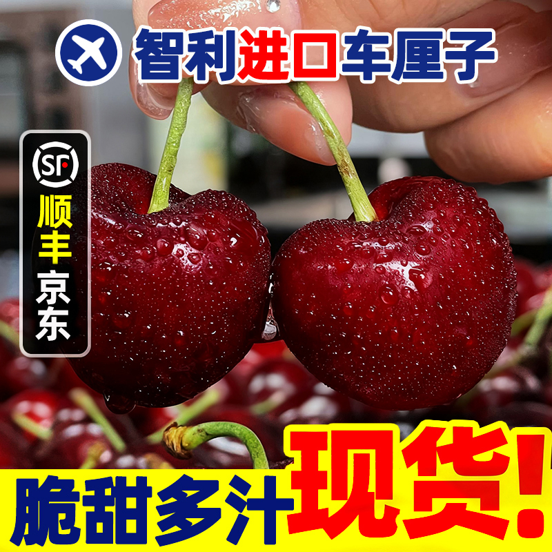 2J大果【今天拍明天到】智利进口车厘子鲜水果头茬宝宝孕妇内附果径卡800g FY海运桑提娜樱桃智利共和国