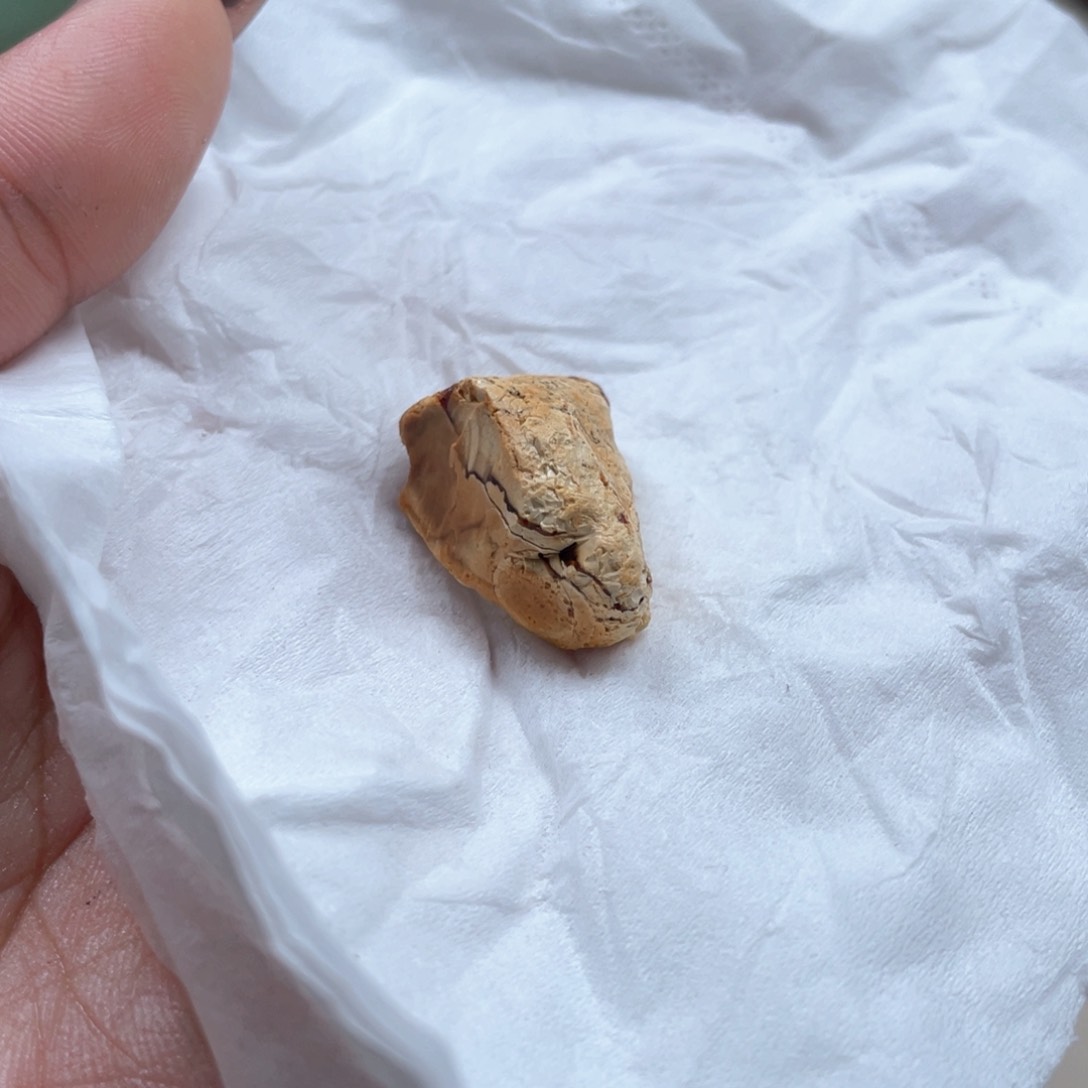 定制蜜蜡未镶嵌1*天然蜜蜡