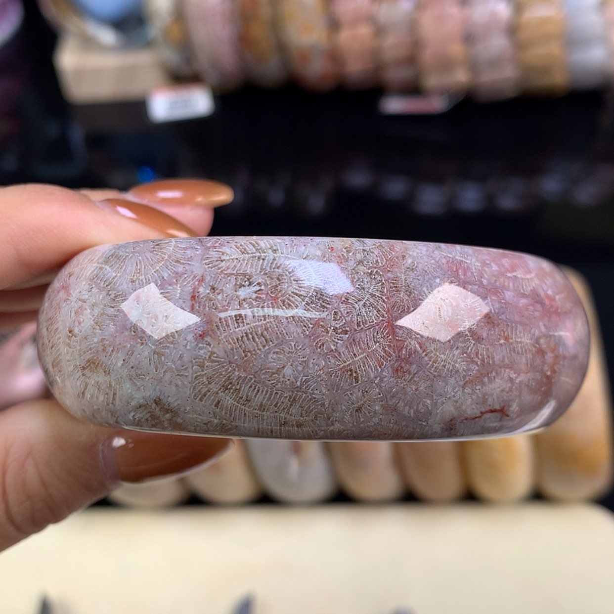 【闪购商品】颈饰未镶嵌硅化珊瑚（珊瑚玉）上新手镯57.8（30号）