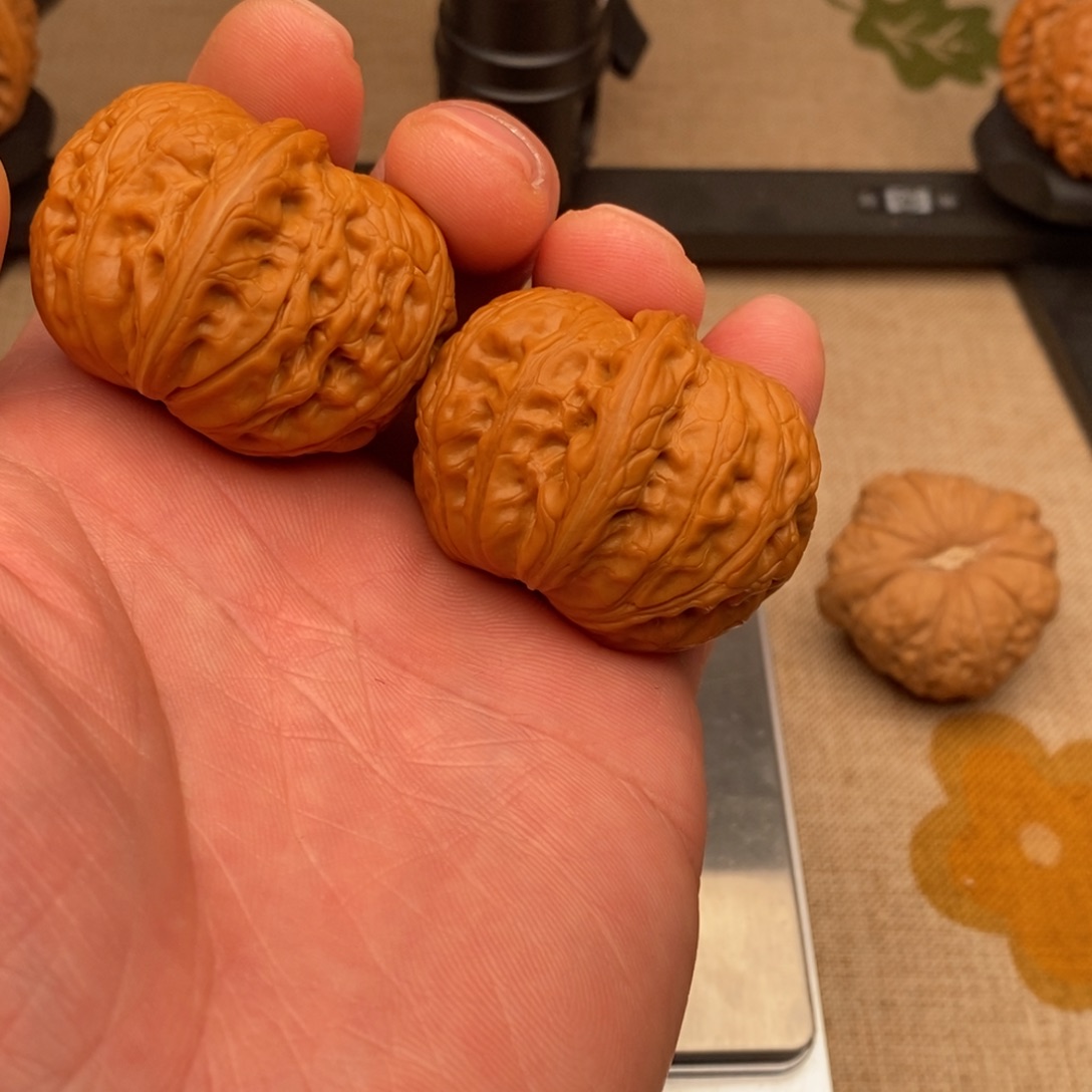 趙***森元宝元宝元宝元宝