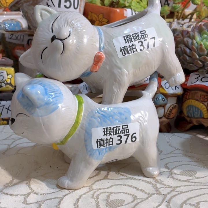 多肉花盆满15包邮