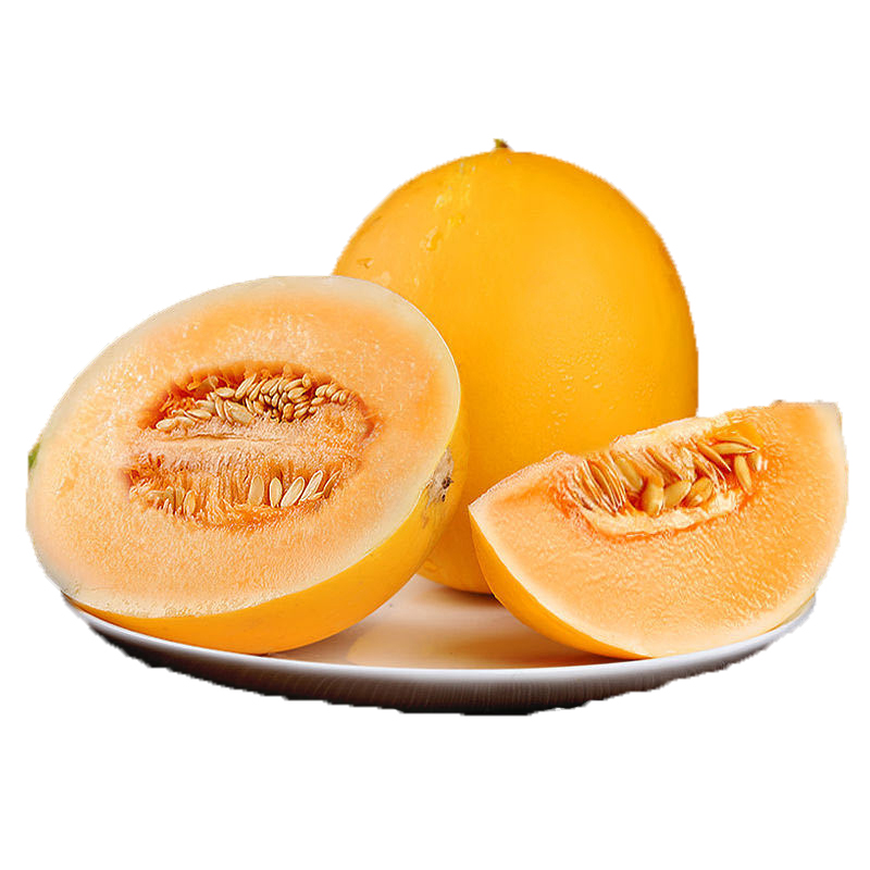 甘肃民勤蜜瓜新鲜沙漠蜜瓜产地直发