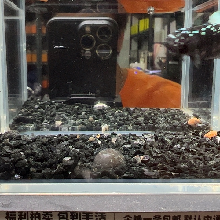 斗鱼跑單拉黑28日80