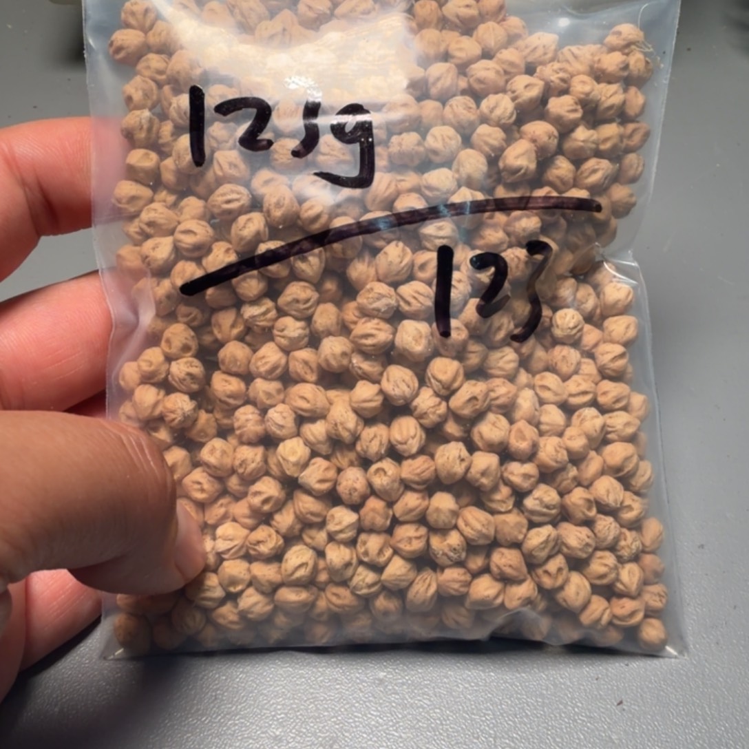 寻***序柏香籽/百香籽吊坠