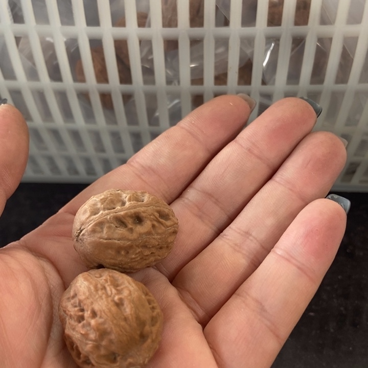 吊坠文玩核桃野蛋虎秋子