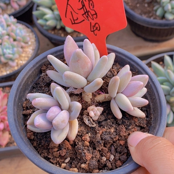 这些东西你就不用