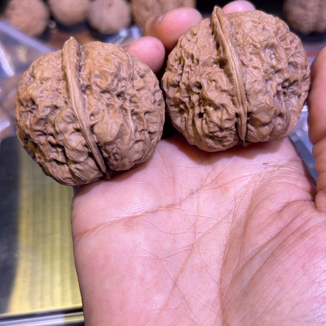 把件文玩核桃红旺云铁21号43mm