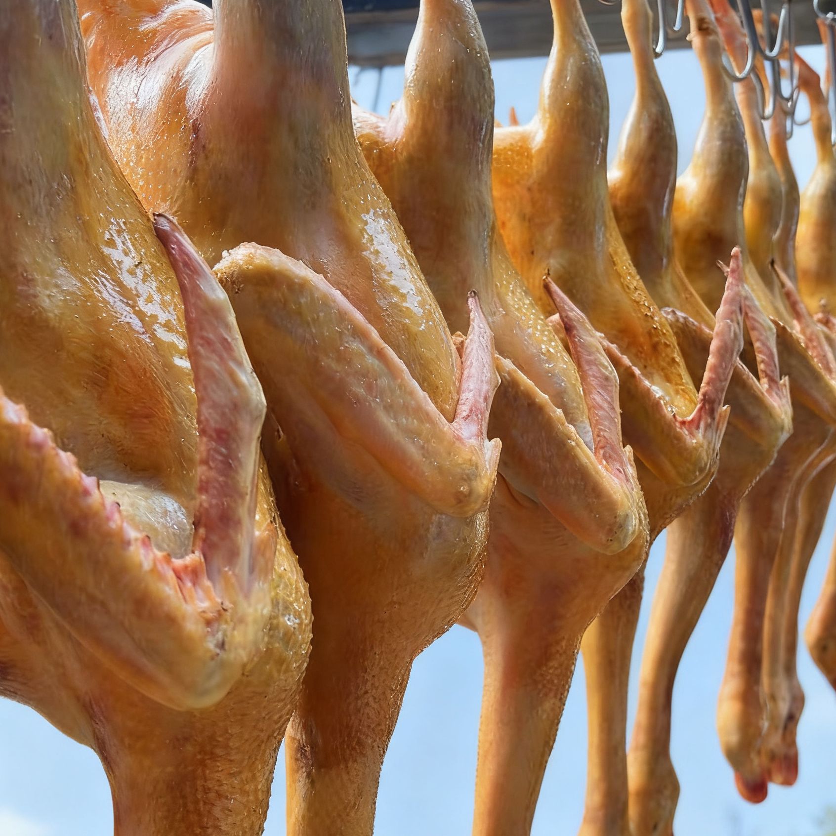 农家老鸭300天黄皮红肉自然生长五谷喂养新鲜宰杀整只土麻鸭