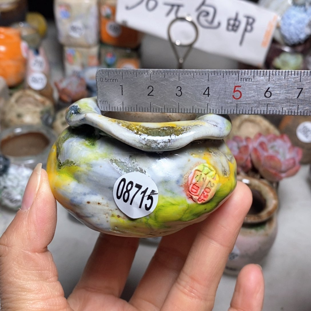 花盆拍3送一个小礼物