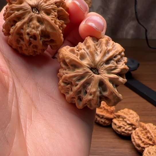 柏香籽/百香籽吊坠爱***事陕西秦岭秦闷狮子头