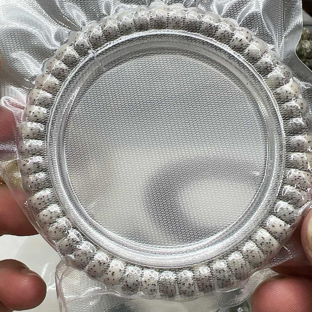 星月菩提手串50殿堂卡姿兰大眼睛星月菩提单圈0.9片