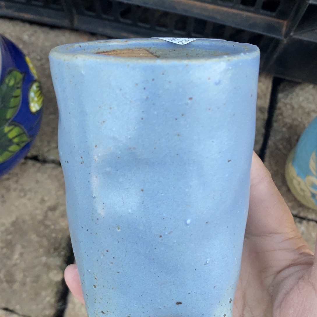 47号多肉盆口径6.5