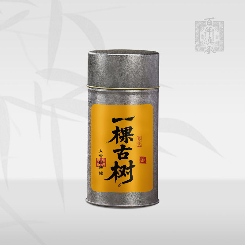 【一棵大古树】2025年大雪山秘境生散茶40g（送同款茶样）