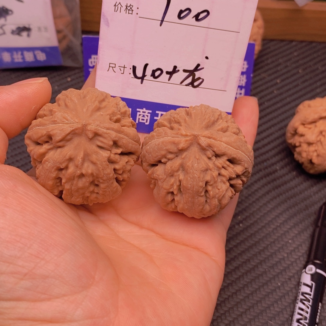 ****文玩核桃霸王龙核桃