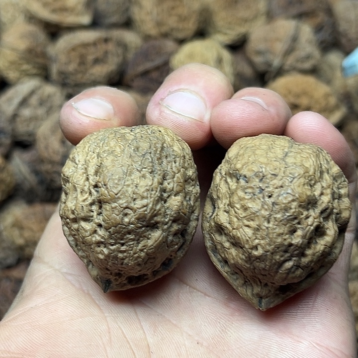 把件文玩核桃8号肥蟾40尺