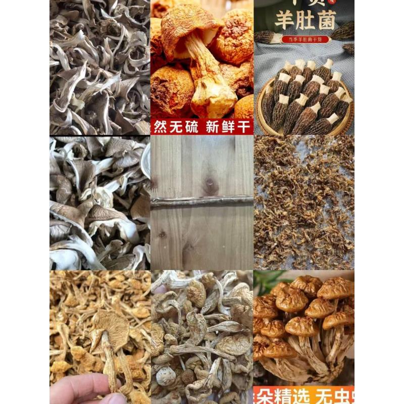 FD73 【长边】高端品质   香菇菌子   现收山货