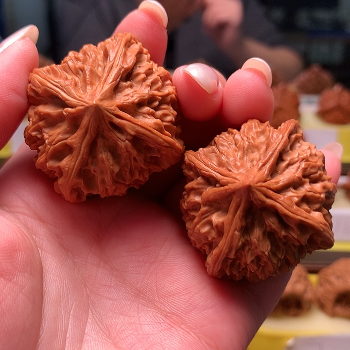 满天星四棱四棱四棱