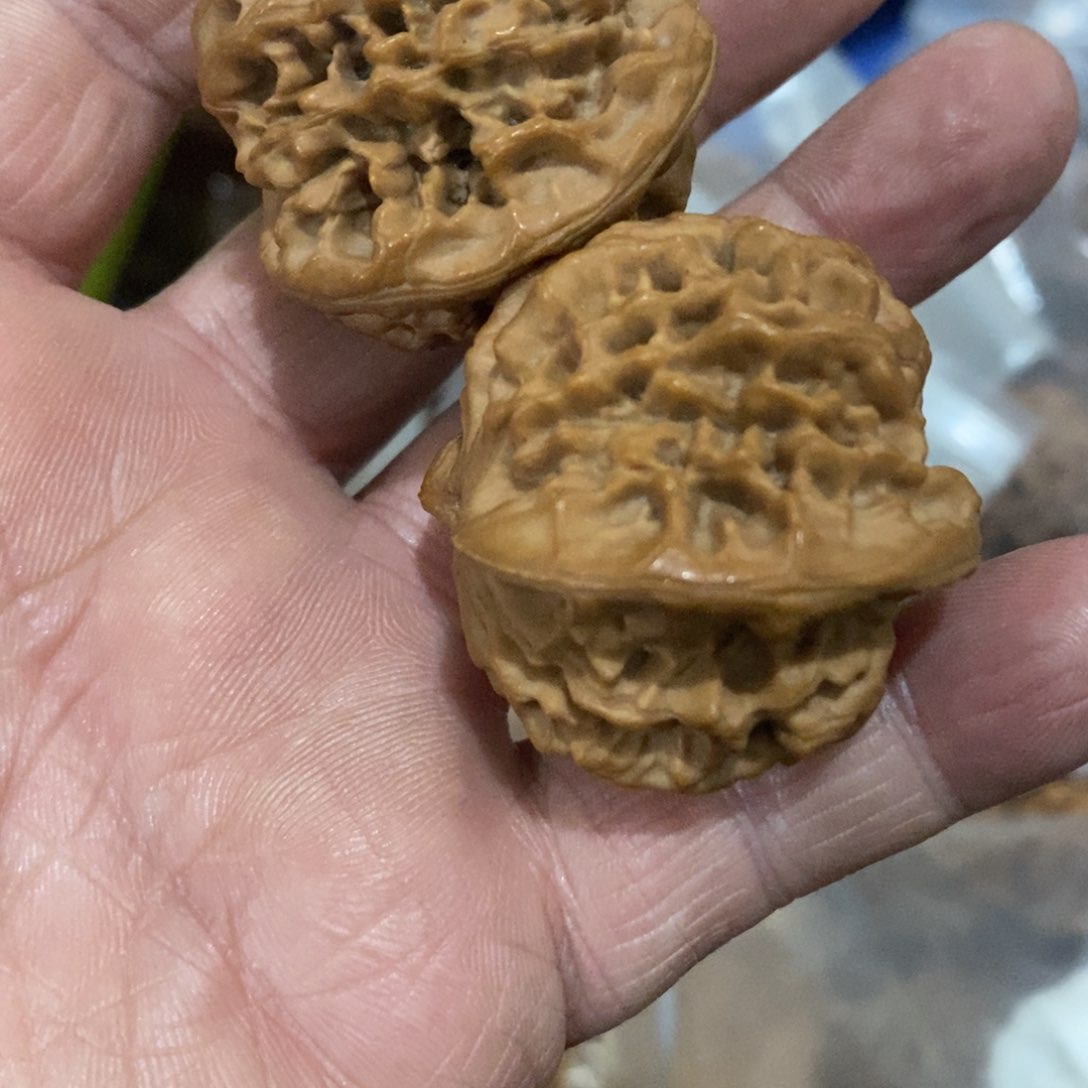 黑****秦岭南侧和东北北部分别