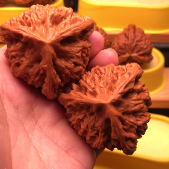 用***7核桃核桃核桃核桃核桃