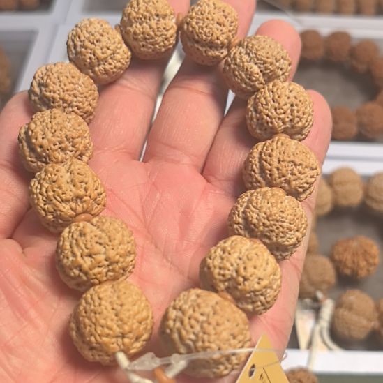 金刚菩提手串菠萝蜜大金刚手串，全品无黄，没有歪籽