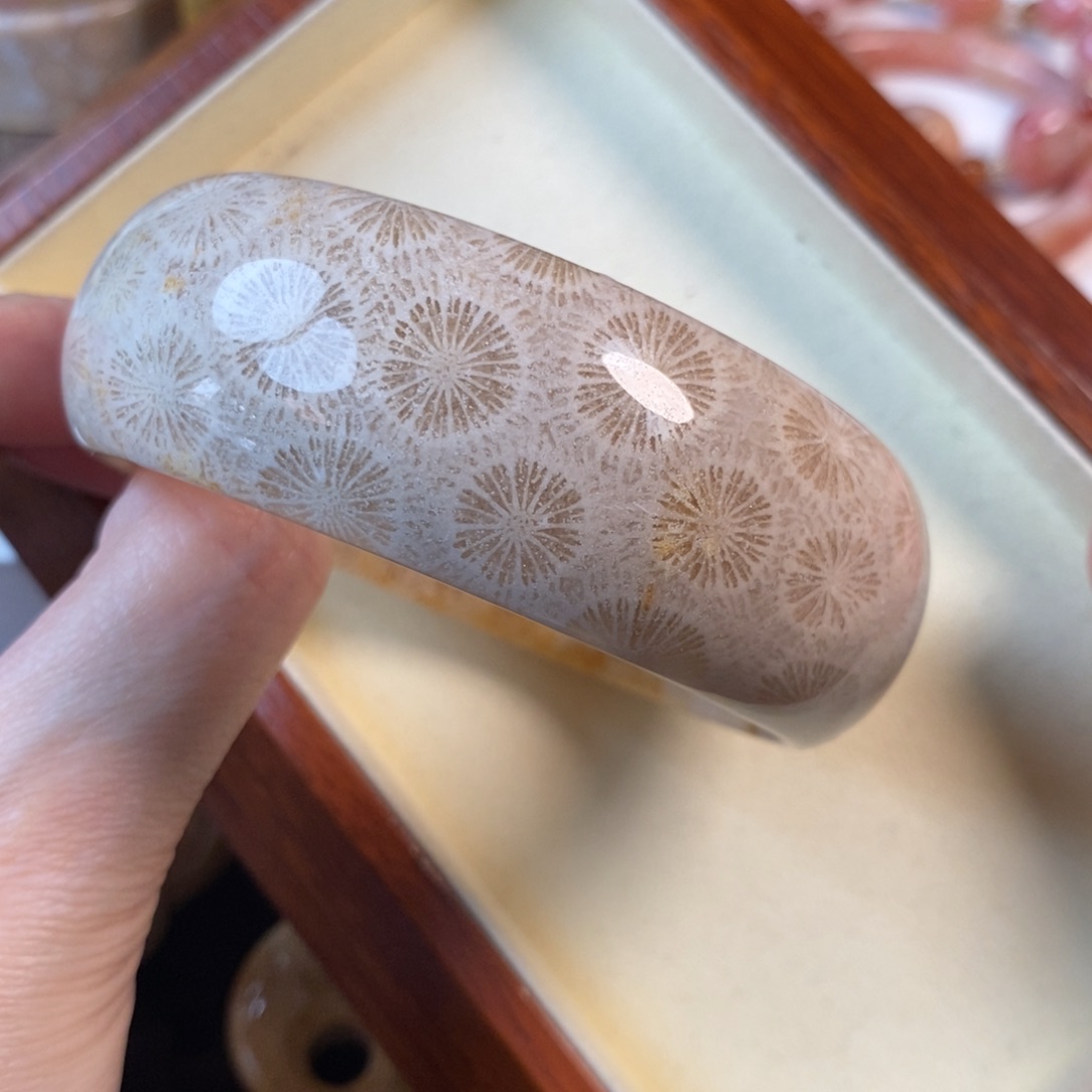 硅化珊瑚（珊瑚玉）未镶嵌手镯61.8口500