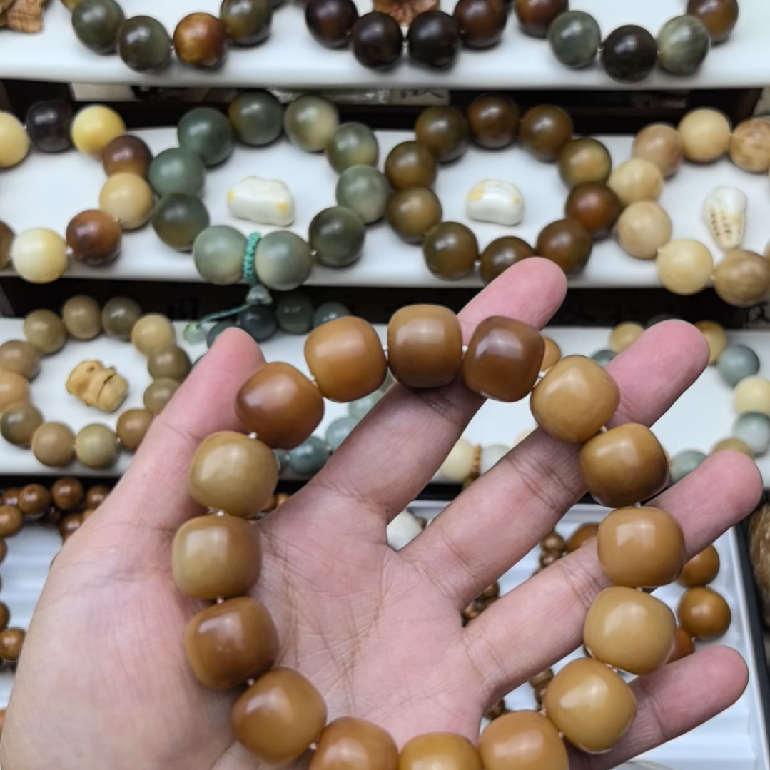 吊坠菩提根/象牙果