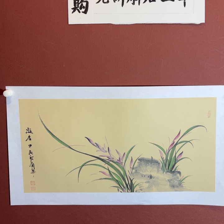 国画听兰老师花鸟