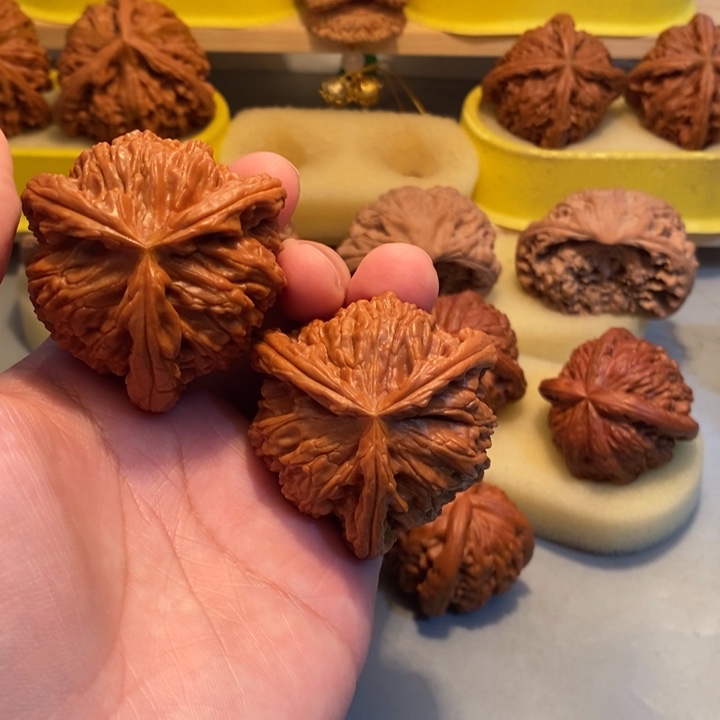 金***田文玩核桃把件Hhhhhjh