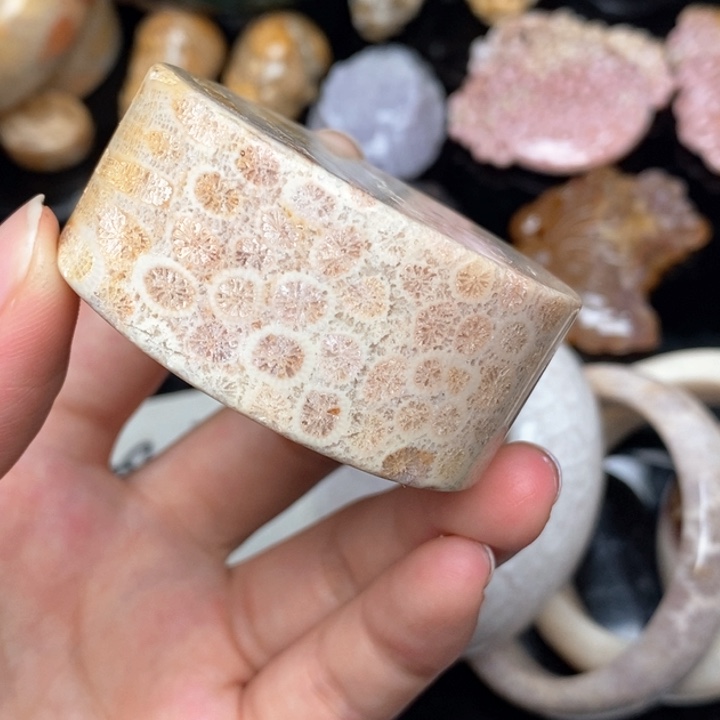 硅化珊瑚（珊瑚玉）手镯未镶嵌