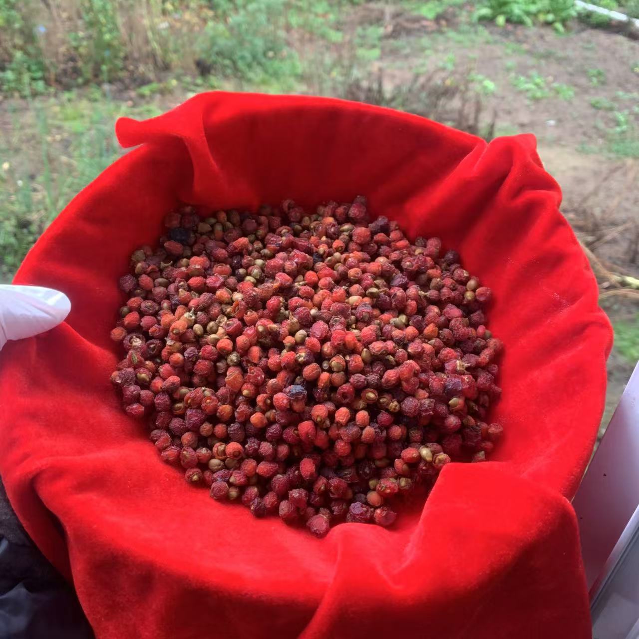 1【红-D-杉】净含量：100g-500g【小英现收】