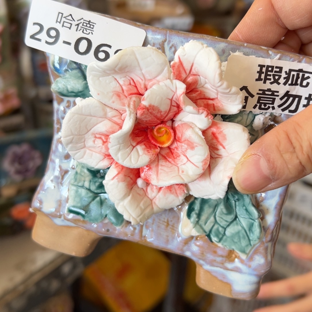 瑕疵2969 多肉花盆，满20发货爱退拉黑