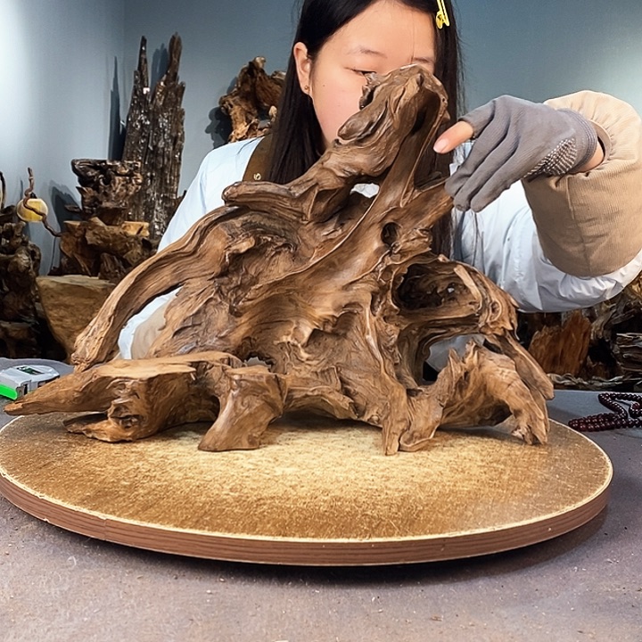 茶盏守****?927株木的随行的根艺
