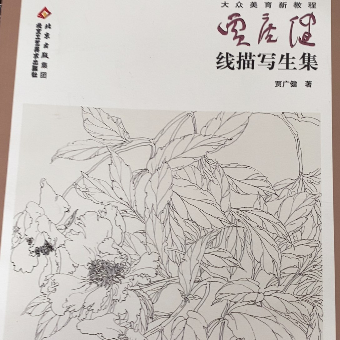贾广建线描写升级