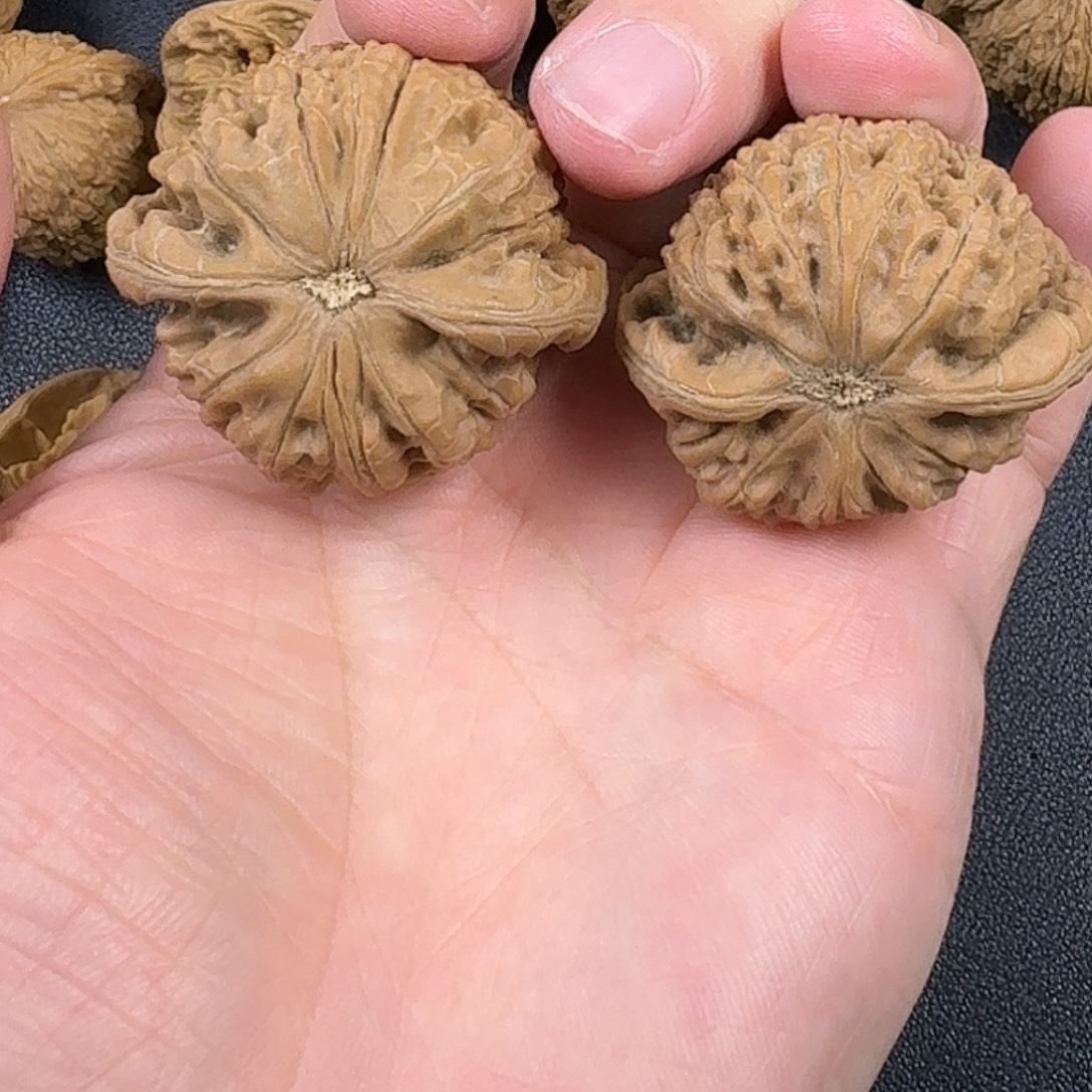 *****文玩核桃吊坠水龙纹