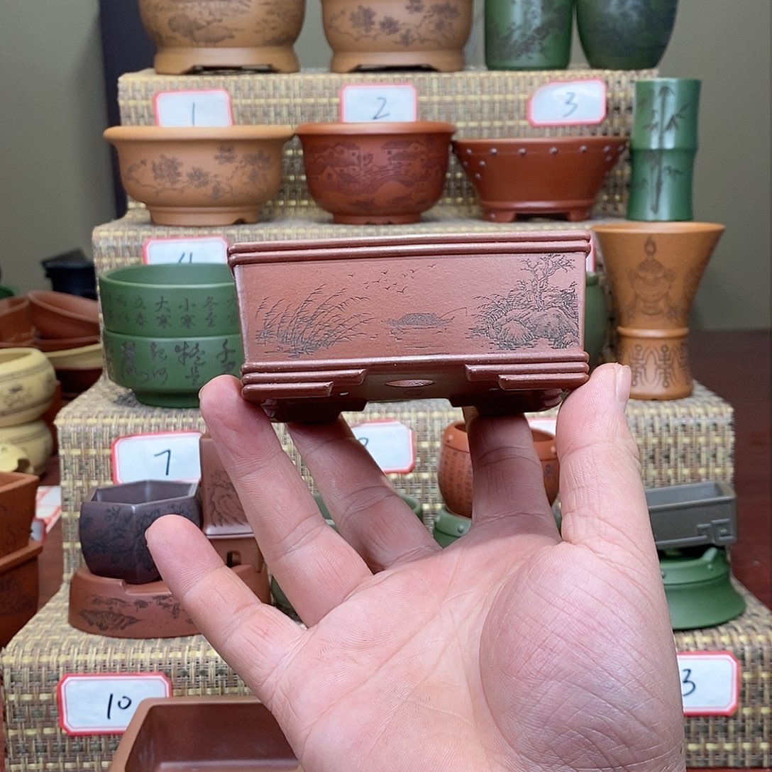 紫砂花盆我在等一