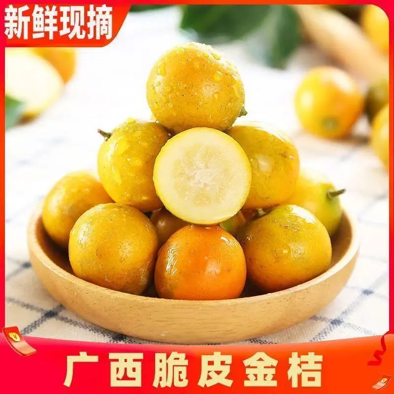 【融安金桔】广西脆皮金桔纯甜桔子正宗当季新鲜滑皮水果应季批发