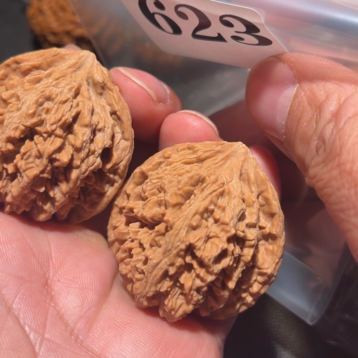 核桃1111111111111111