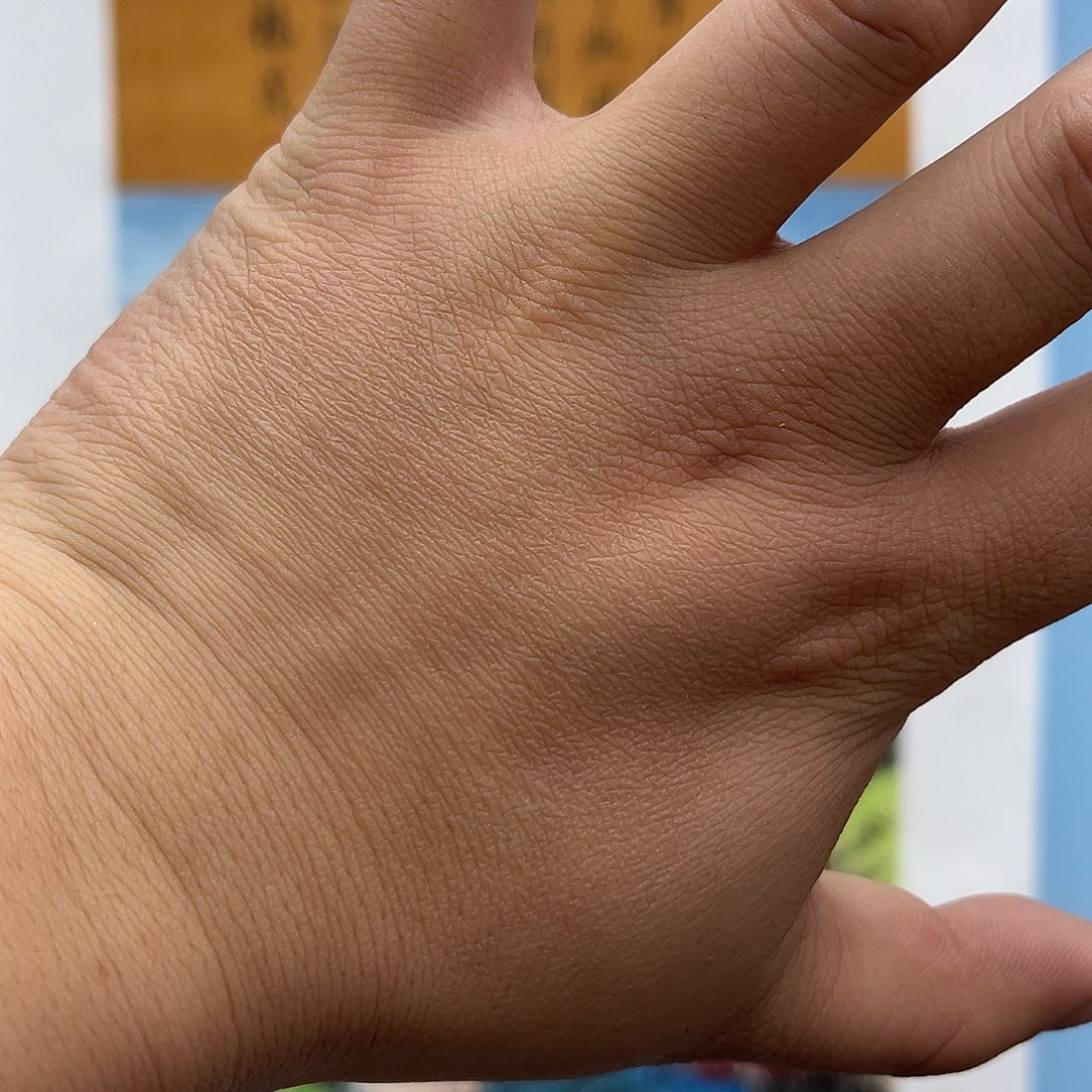 海***子国画青衿美术馆国画作品