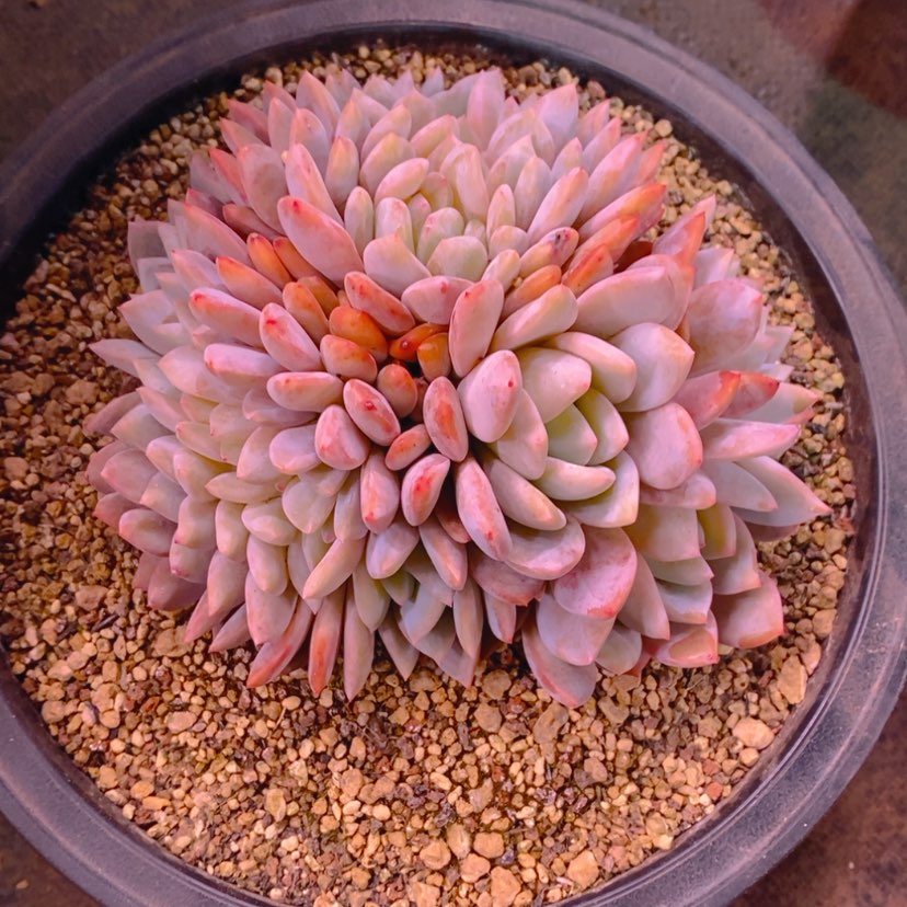 【闪购商品】品*111111