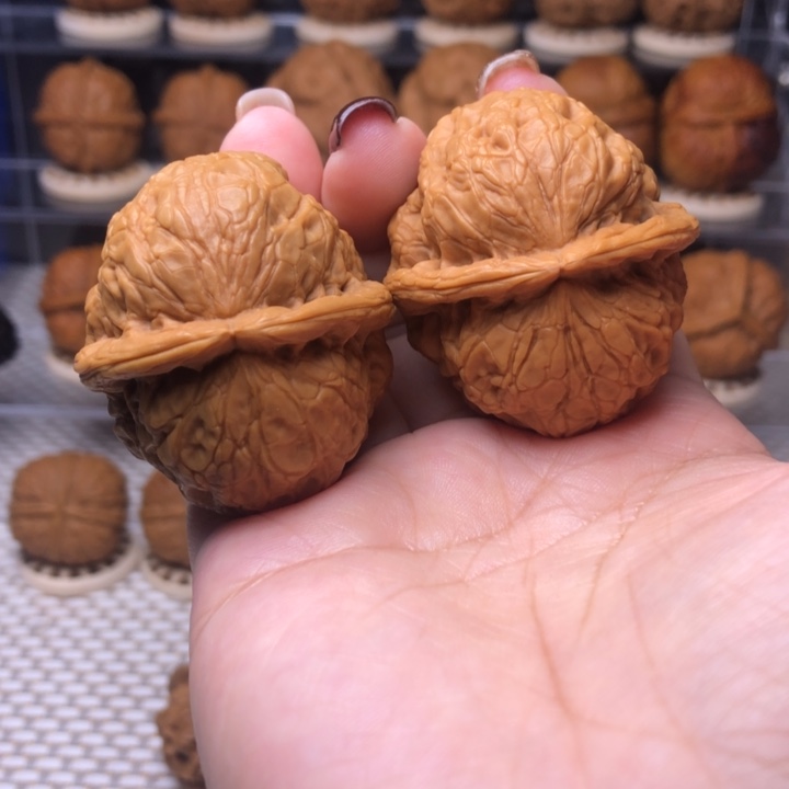 文玩核桃把件36号玄月古蟾43尺