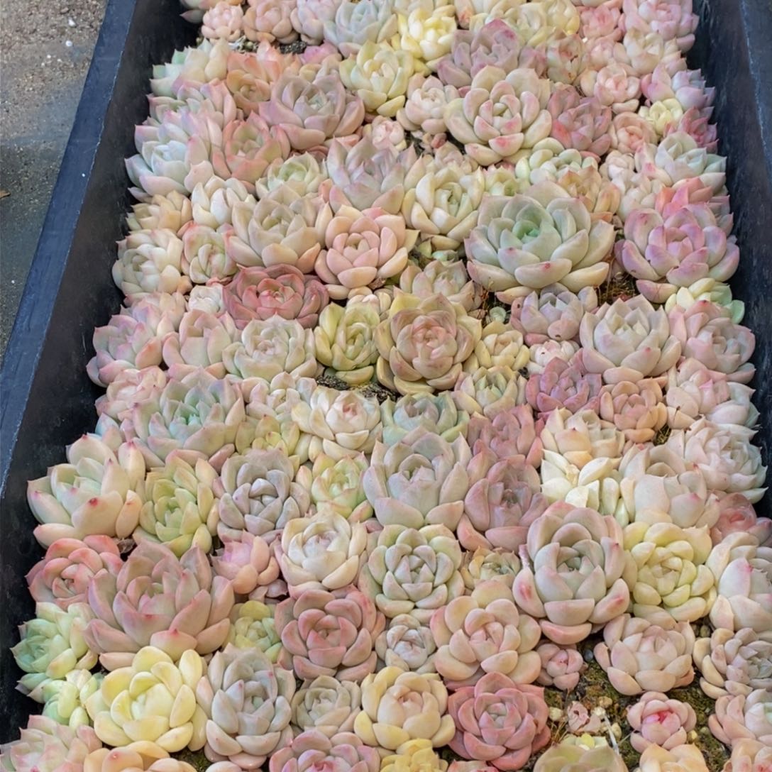 651的人和事都会有很多