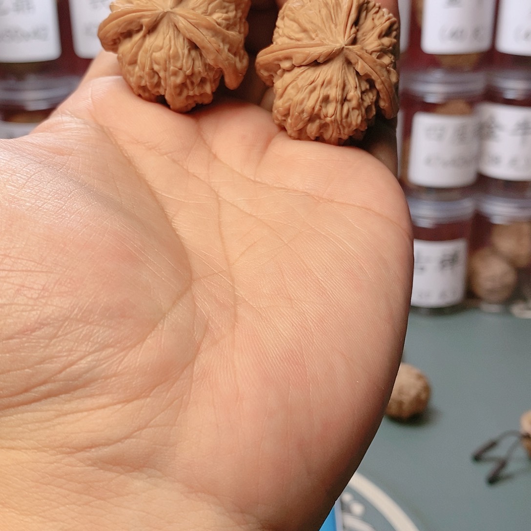 小****记42尺寸白狮子三棱核桃