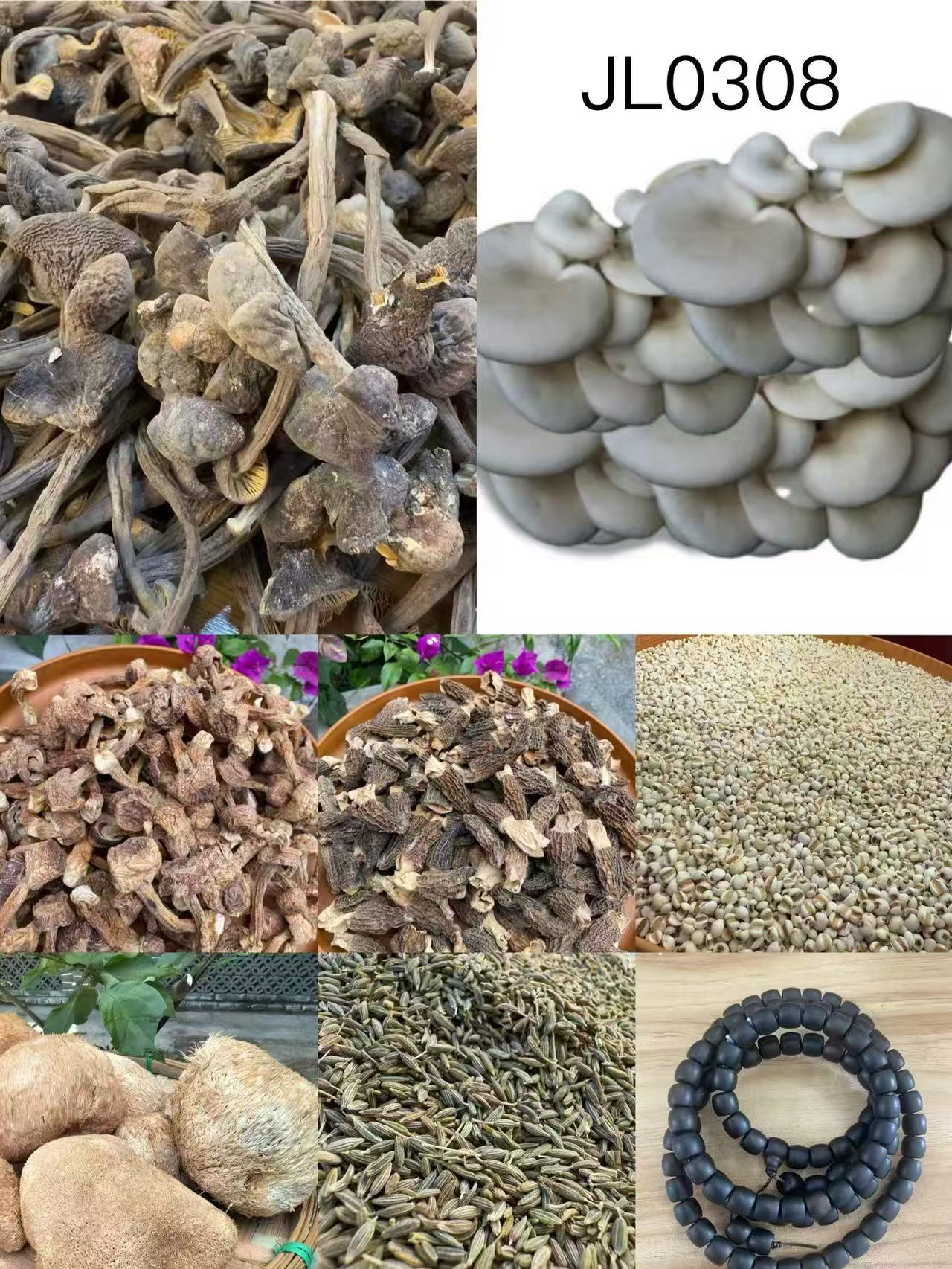 （文总专用土特产）JL0308多样性发货 重量50克左右