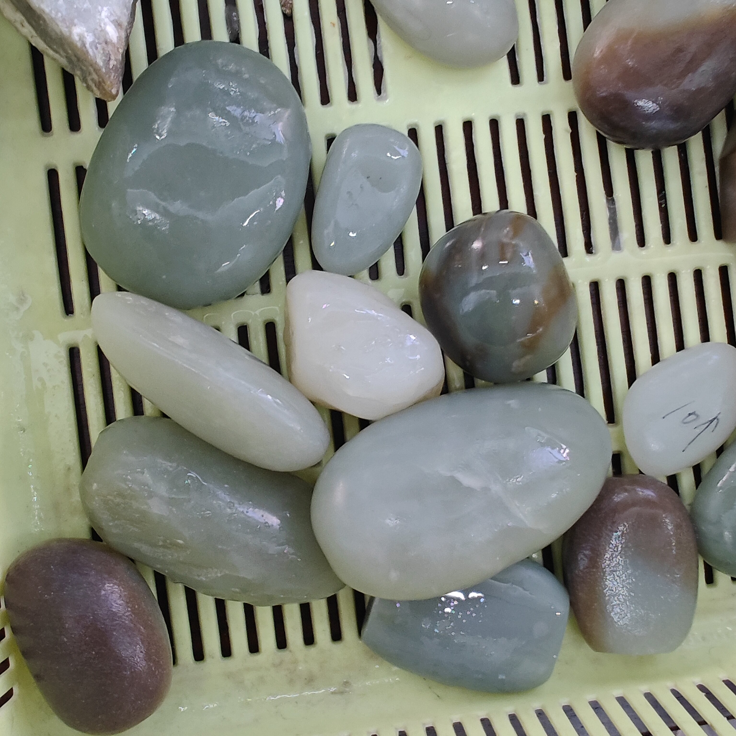 新疆料原石手把 多样性发一