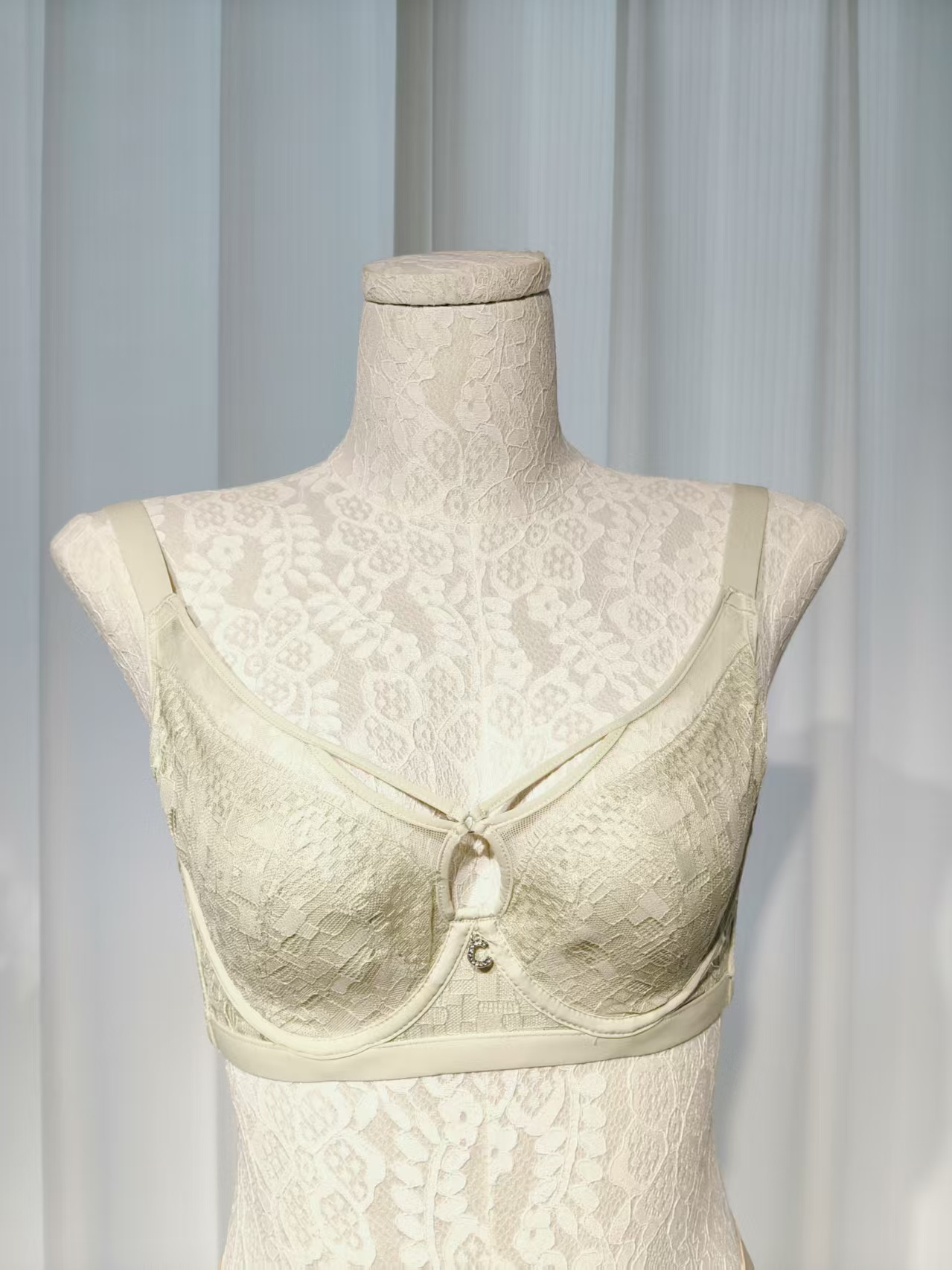 SEMRA/瑟穆菈096款通勤蕾丝舒适美背性感透气法式时尚大胸显小