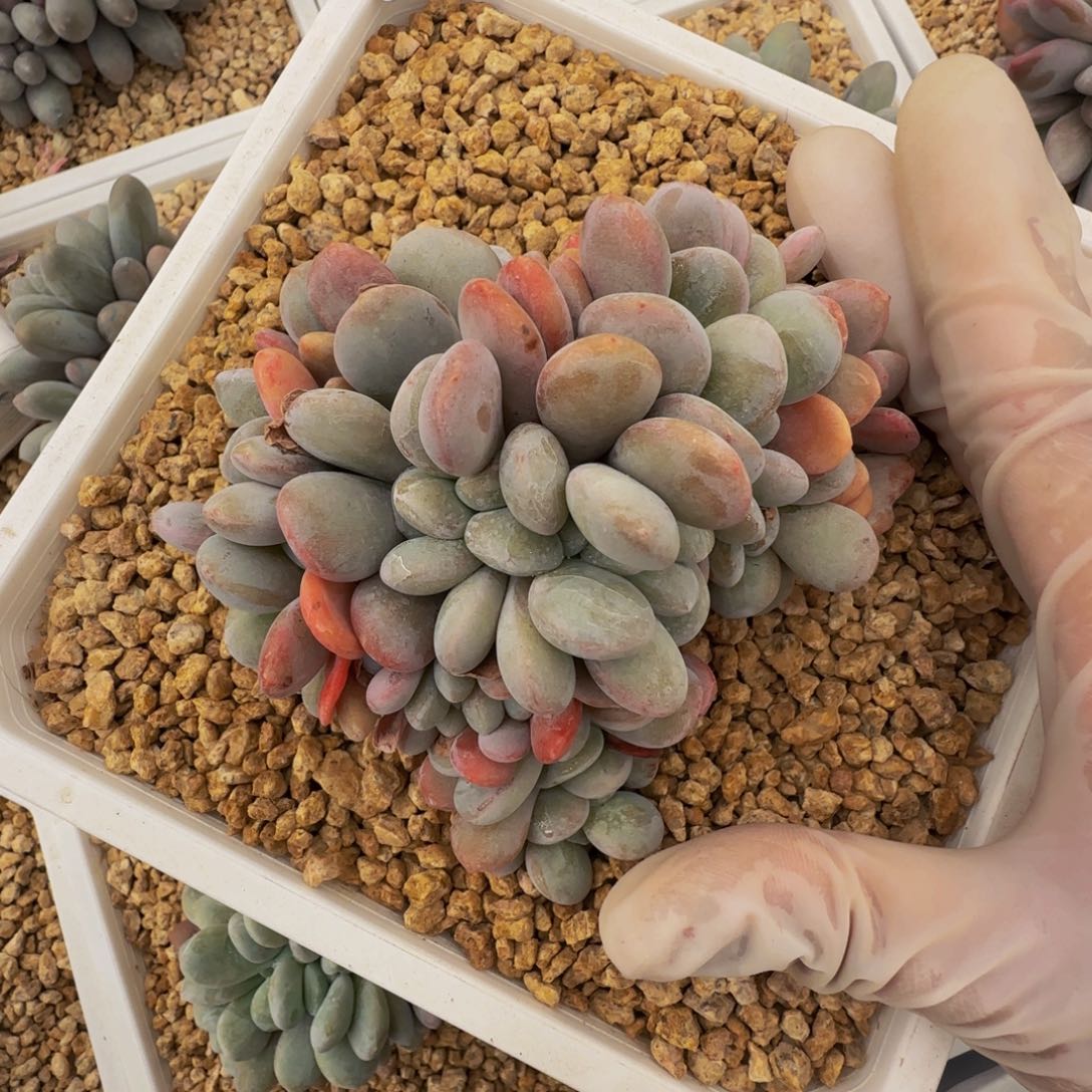 n n n n n n n n n n 150