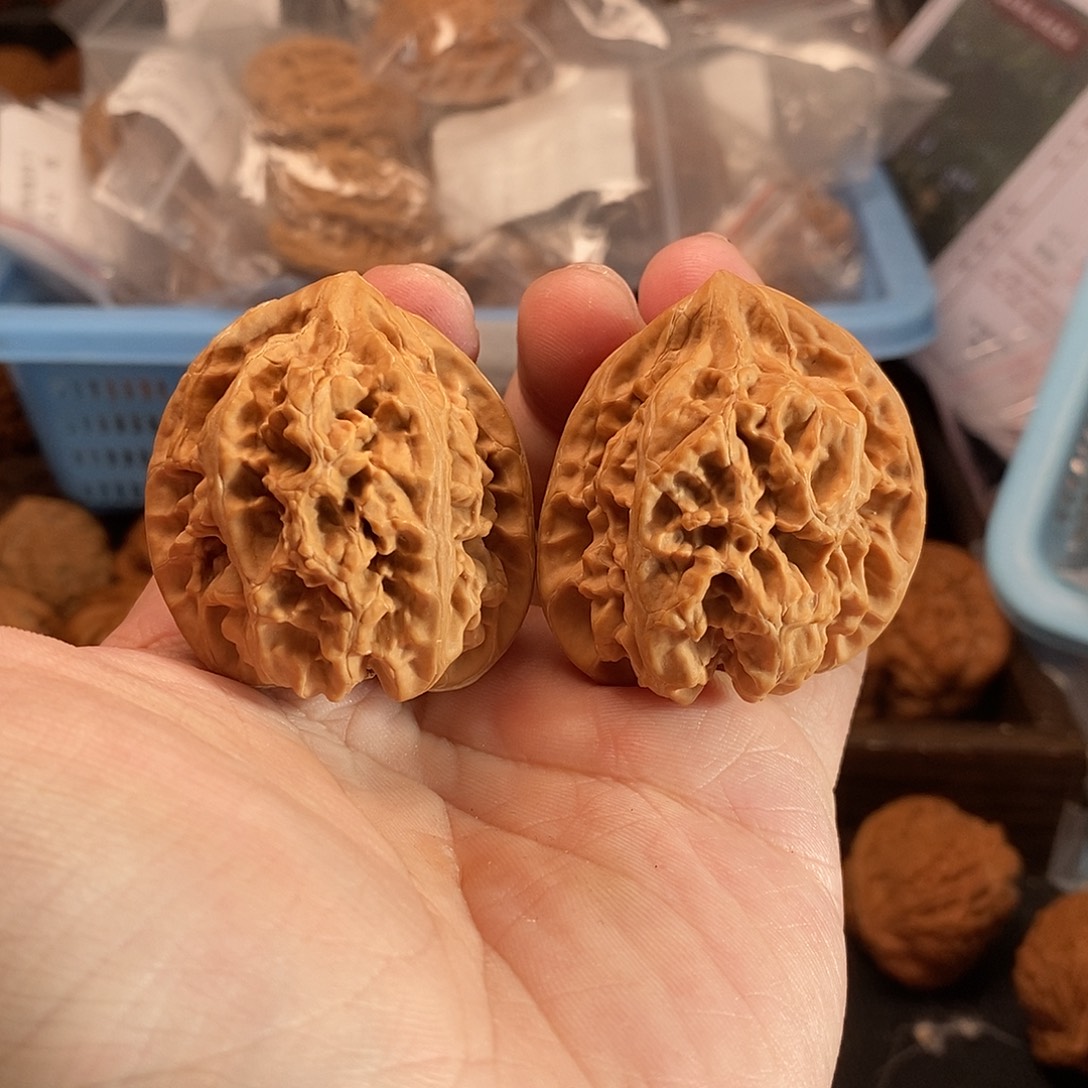 1文玩核桃承德粗筋马蹄40-311