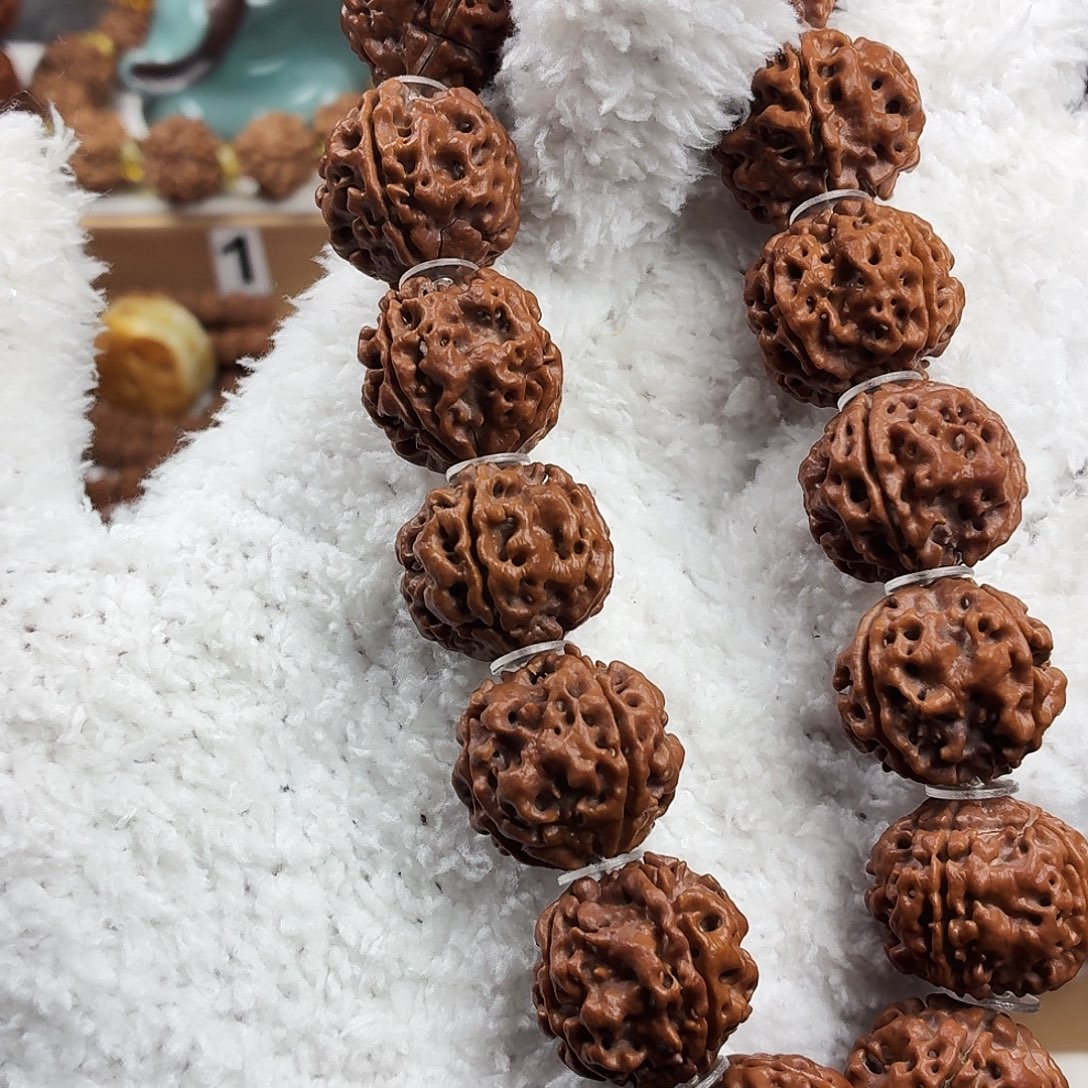 金刚菩提手串稀有精品4瓣千金盘龙